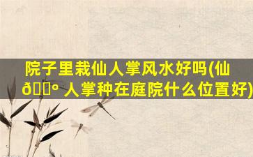 院子里栽仙人掌风水好吗(仙 🌺 人掌种在庭院什么位置好)